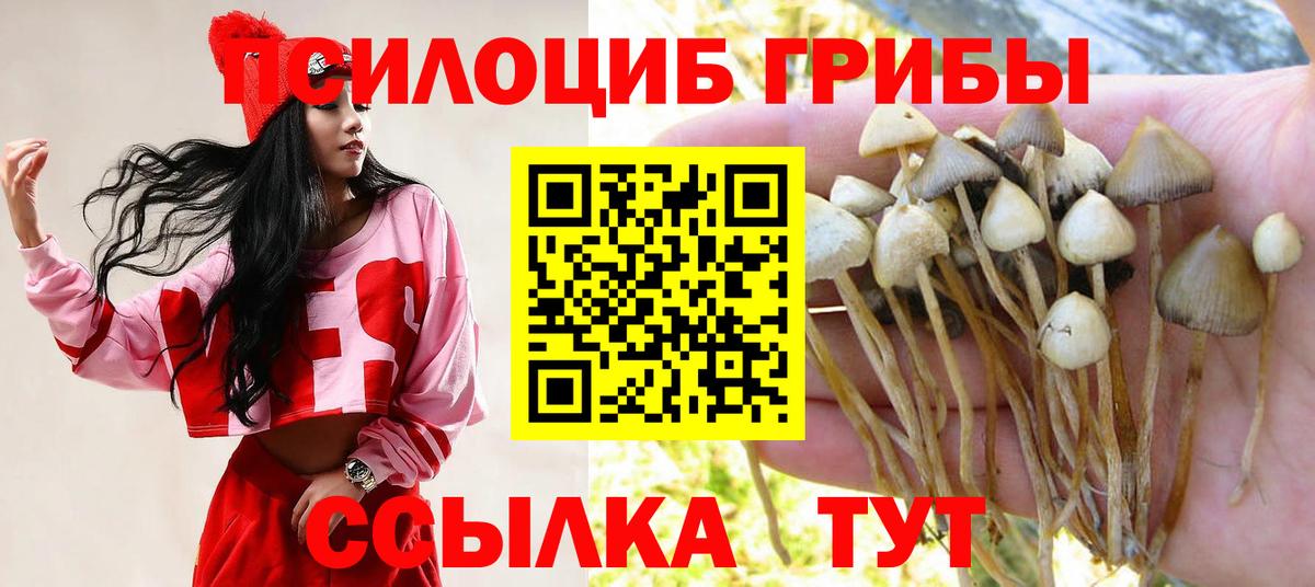 продажа наркотиков  Вход с VPN  Каменск-Уральский  Псилоцибиновые грибы Magic Shrooms  Галлюциногенные грибы прущие грибы 