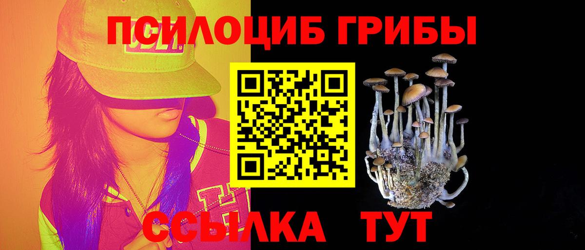 Галлюциногенные грибы MAGIC MUSHROOMS Каменск-Уральский